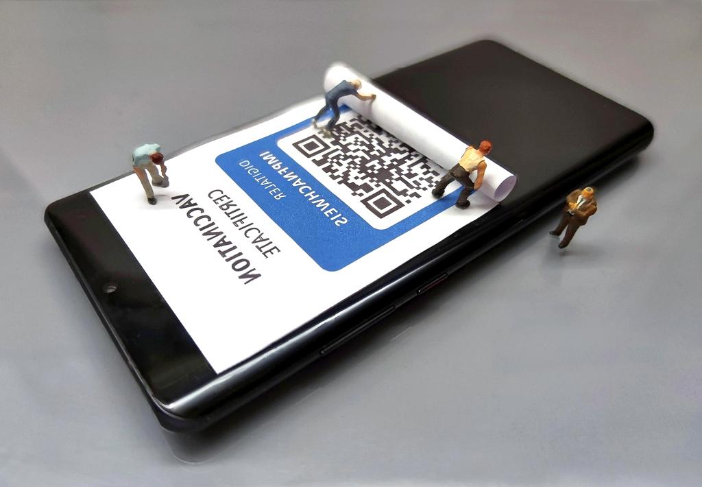 Expert consultation certification