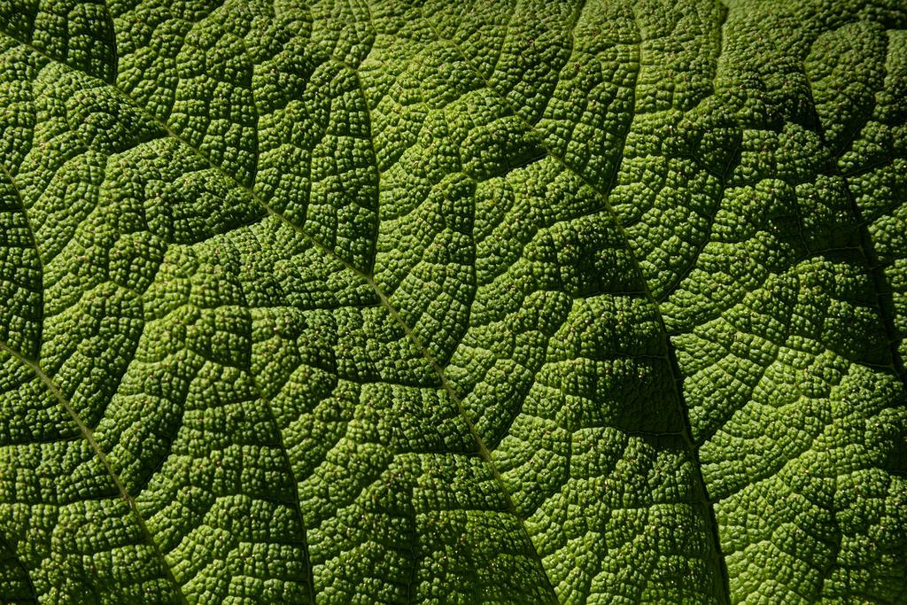 Pattern recognition success rate visualization